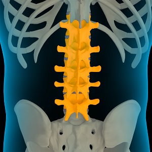 Lumbar Spine Anatomy