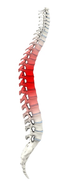 Spine Trauma